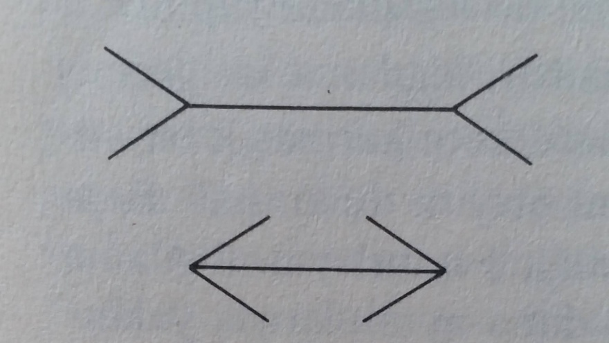 Müller Lyer Yanılsaması Beyin Çizgilerin Uzunluklarını Neden Yanlış Algılıyor 2