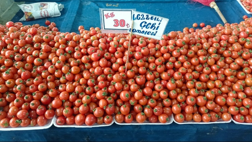 Domates Fiyatları