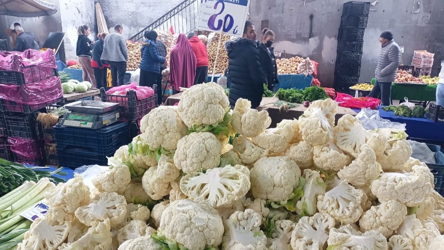 Karnabahar Fiyatları