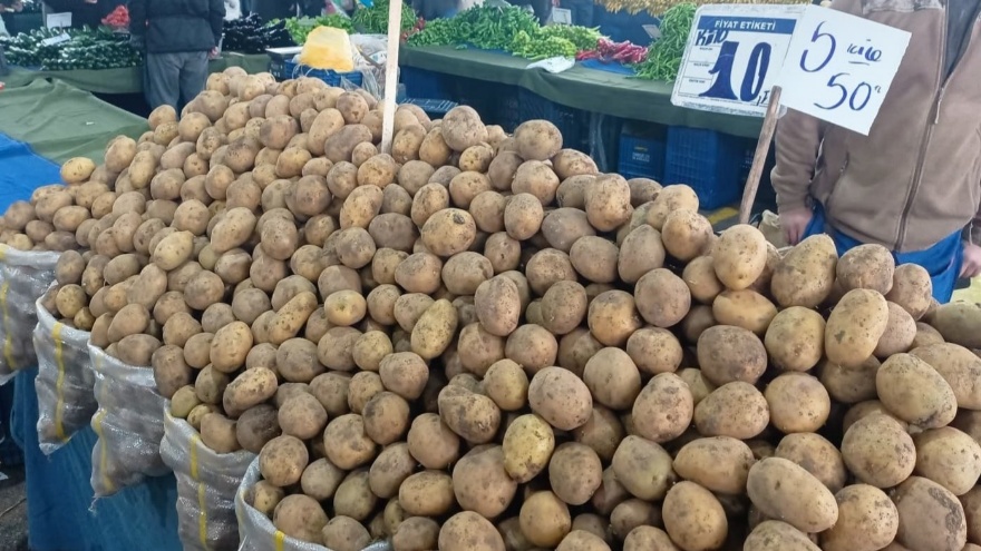 Patates Fiyatları