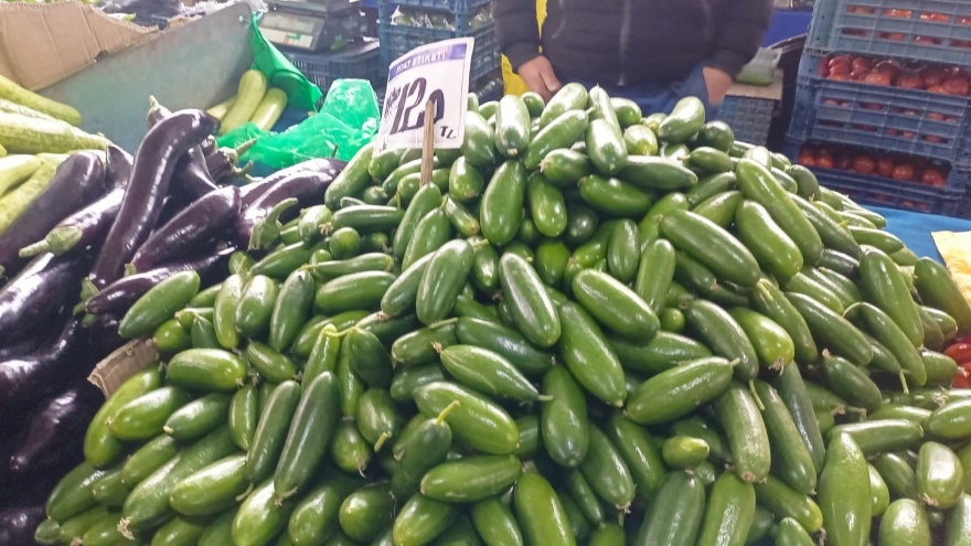 Salatalık Fiyatları