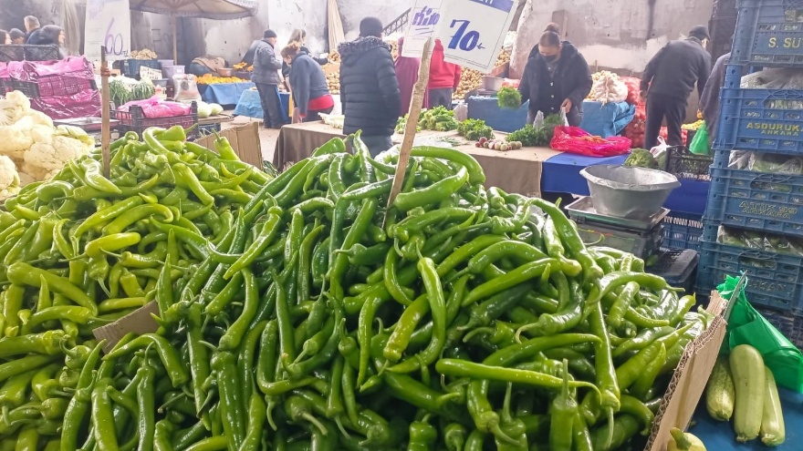 Sivri Biber Fiyatları