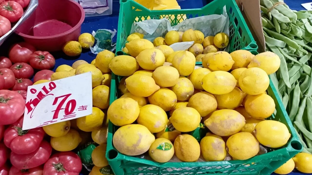 Limon (1)