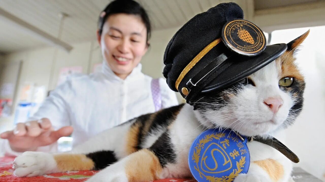 Tarihin En Ünlü Hayvanları Ve Şaşırtıcı Görevleri 2