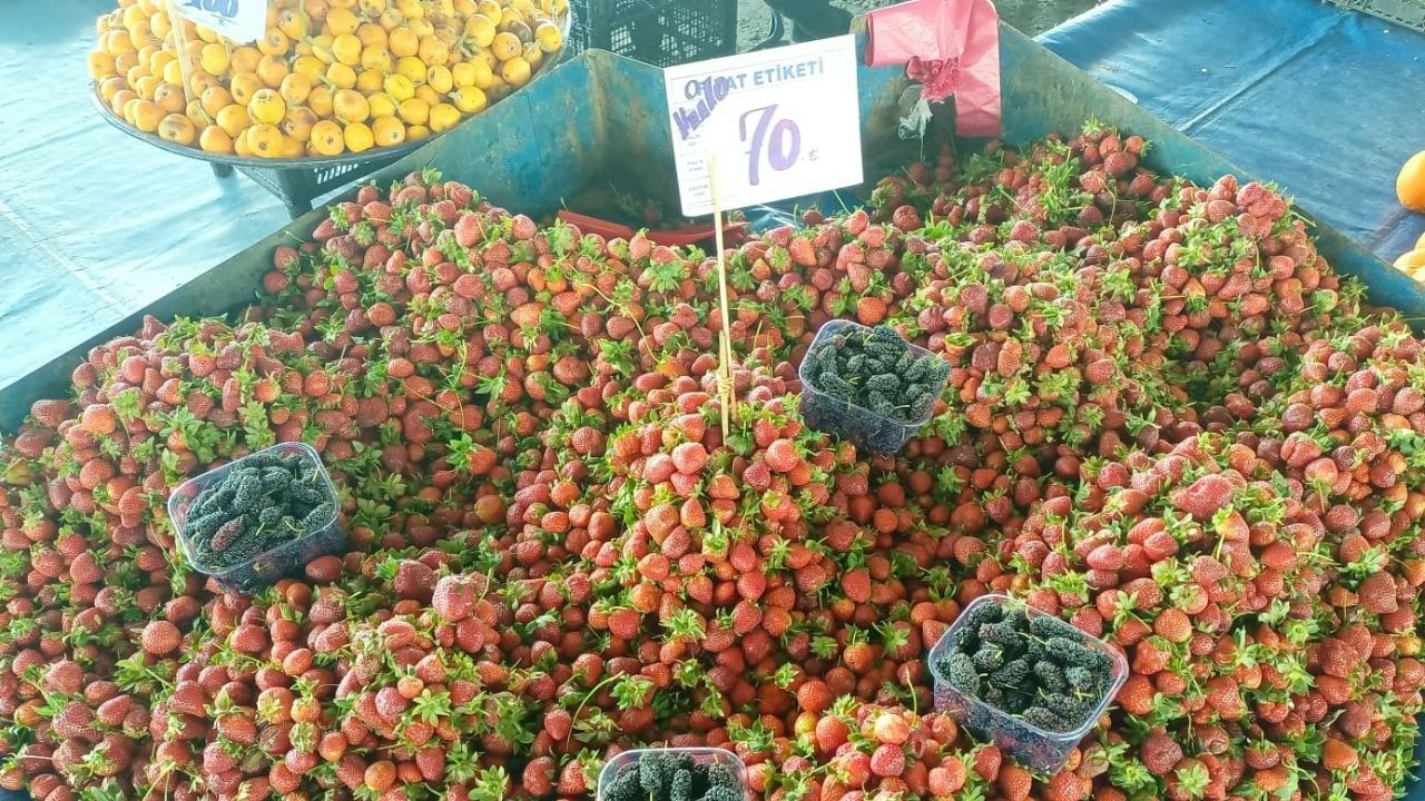 Karapürçek Pazar Çilek