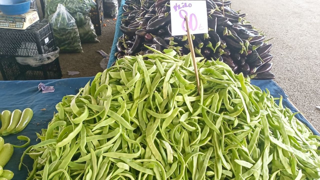 Karapürçek Pazar Fasulye