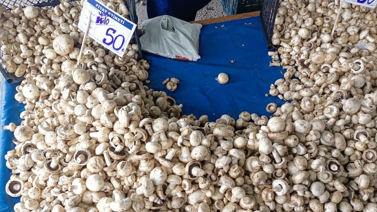 Karapürçek Pazar Mantar