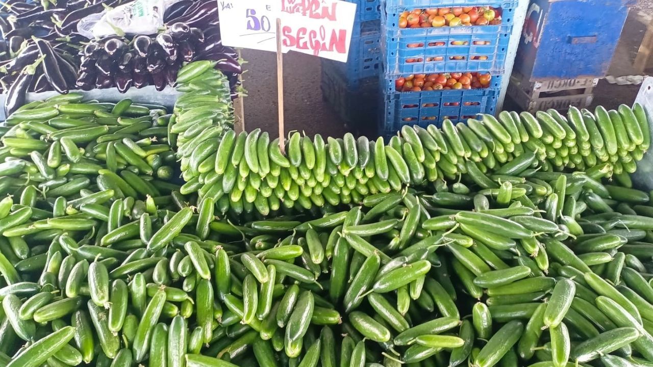 Karapürçek Pazar Salatalık (1)