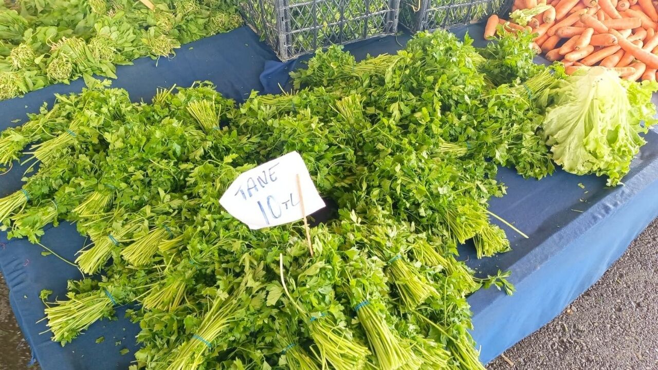 Karapürçek Semt Pazarı Maydanoz