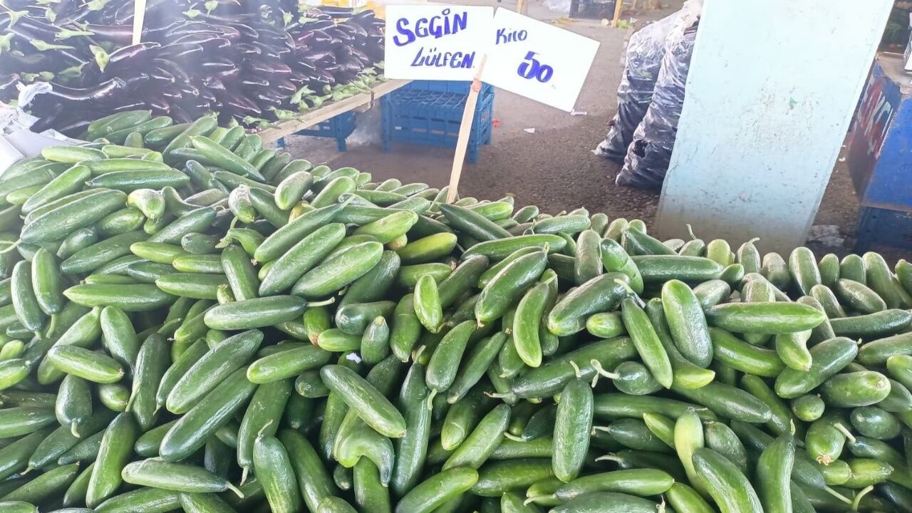 Karapürçek Semt Pazarı Salatalık