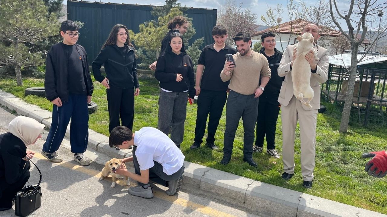 Kutludüğün Sokak Hayvanları Rehabilitasyon Merkezi 2