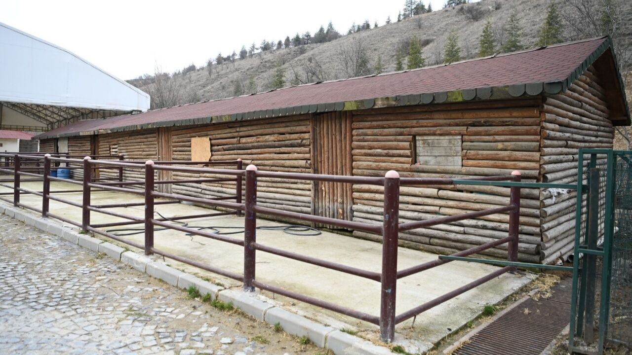 Mamak Evcil Hayvan Parkı 2