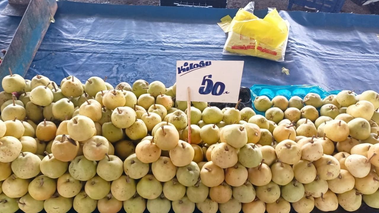 5 Mayıs Pazar Armut