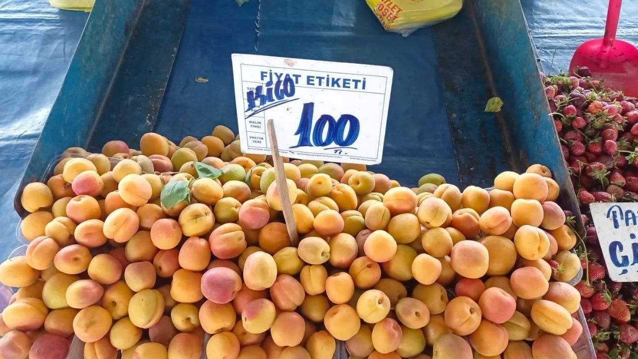 5 Mayıs Pazar Kayısı