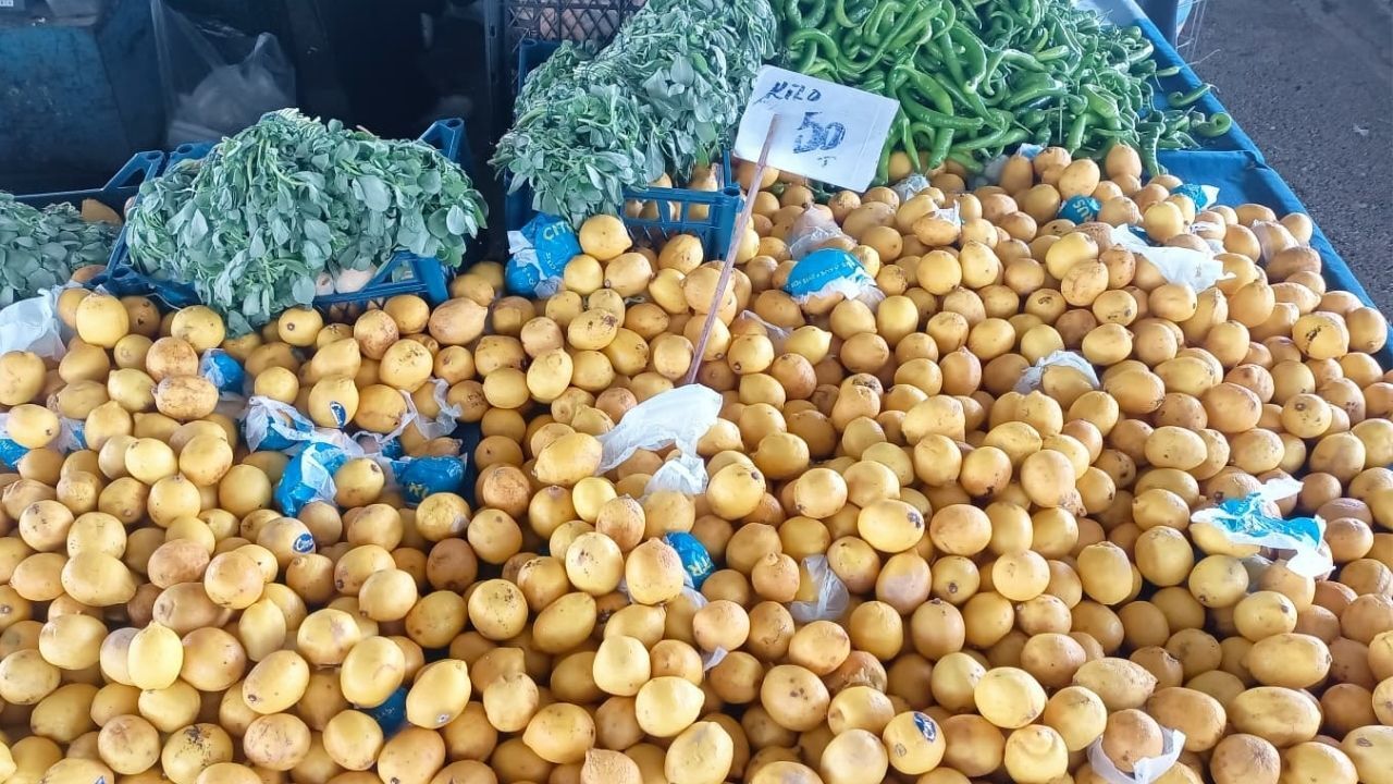 5 Mayıs Pazar Limon-1