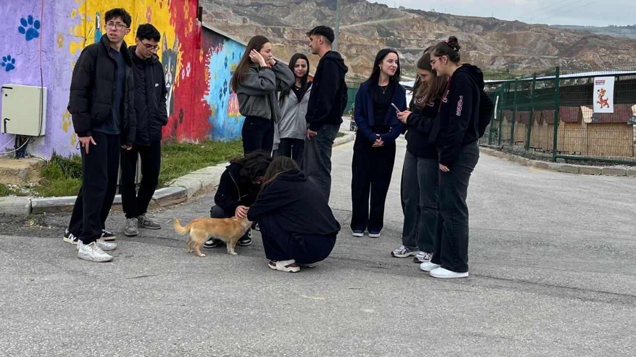 Mamak Belediyesi Sokak Hayvanları Rehabilitasyon Merkezi 2