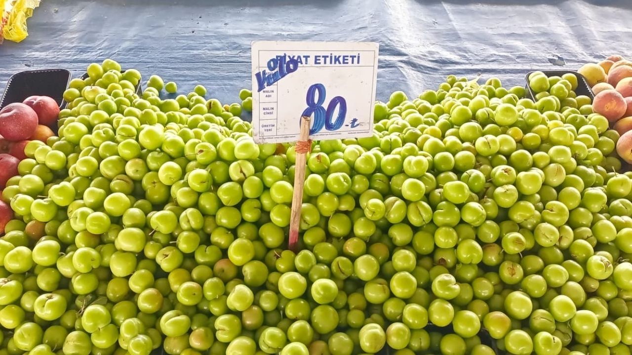 Pazar Dolma Erik