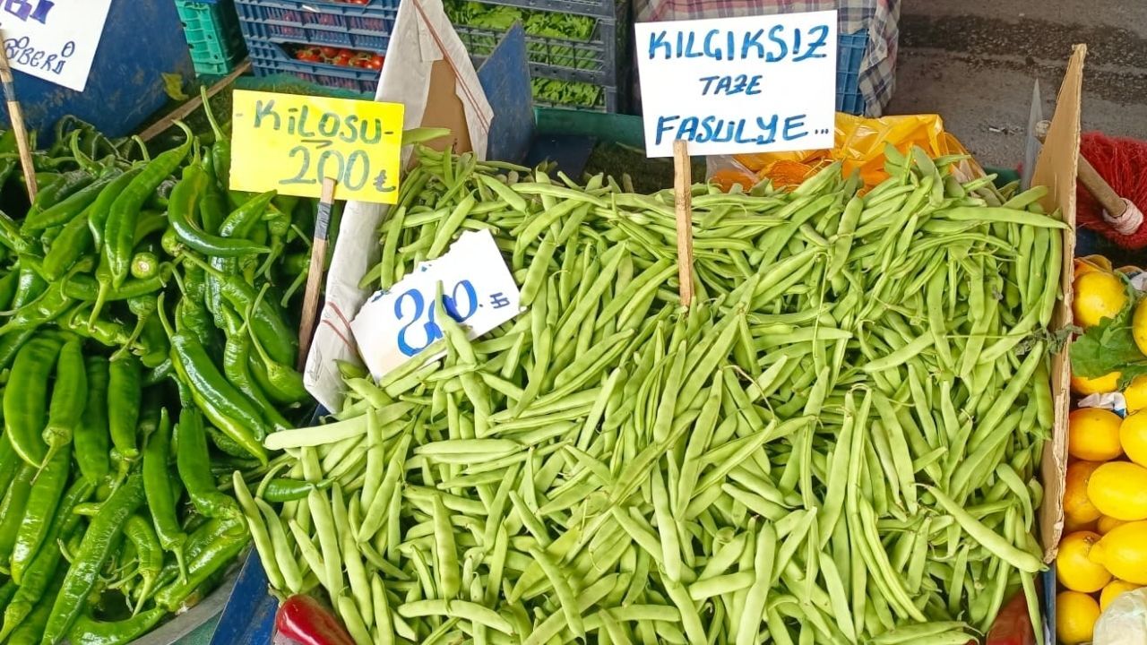 Pazar Fasulye