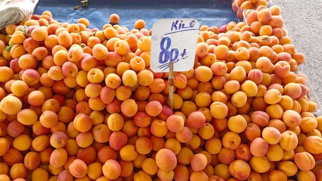 Pazar Kayısı