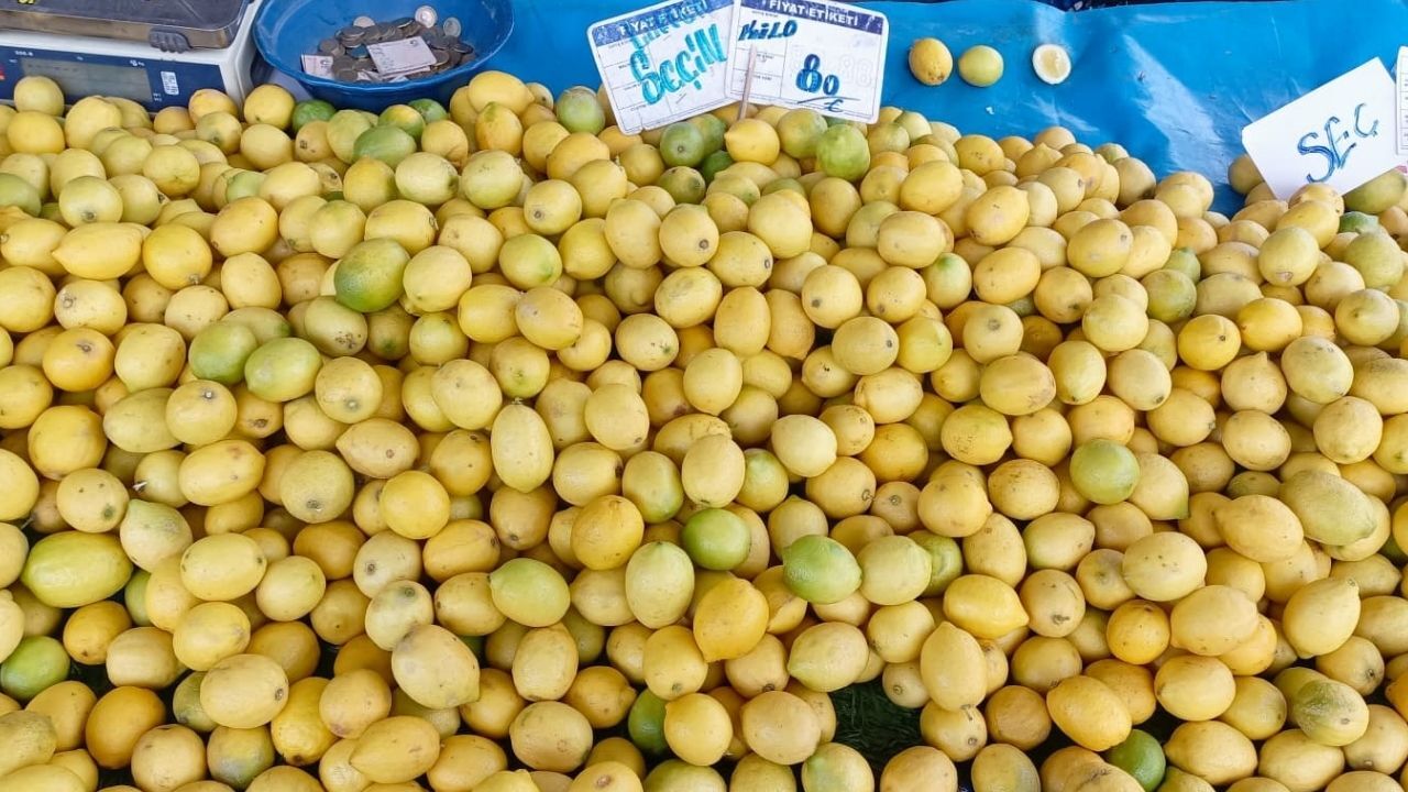 Pazar Limon-1