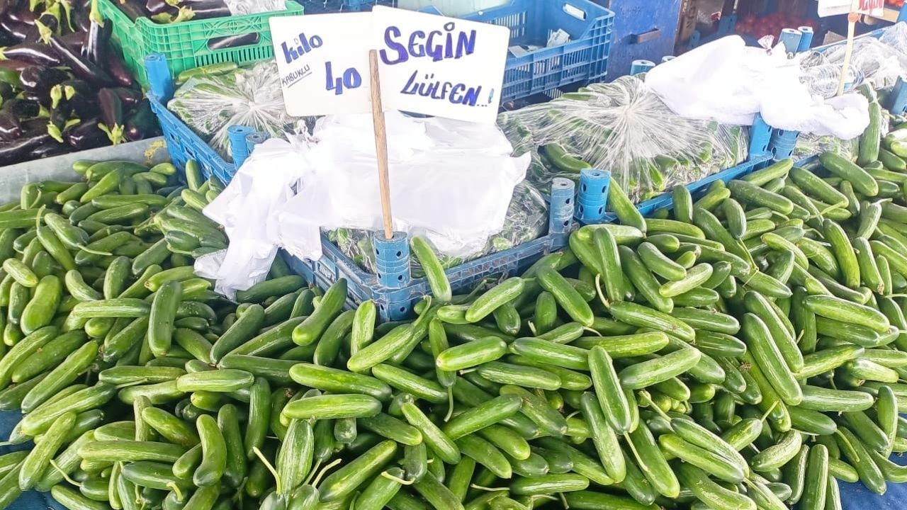 Pazar Salatalık-1