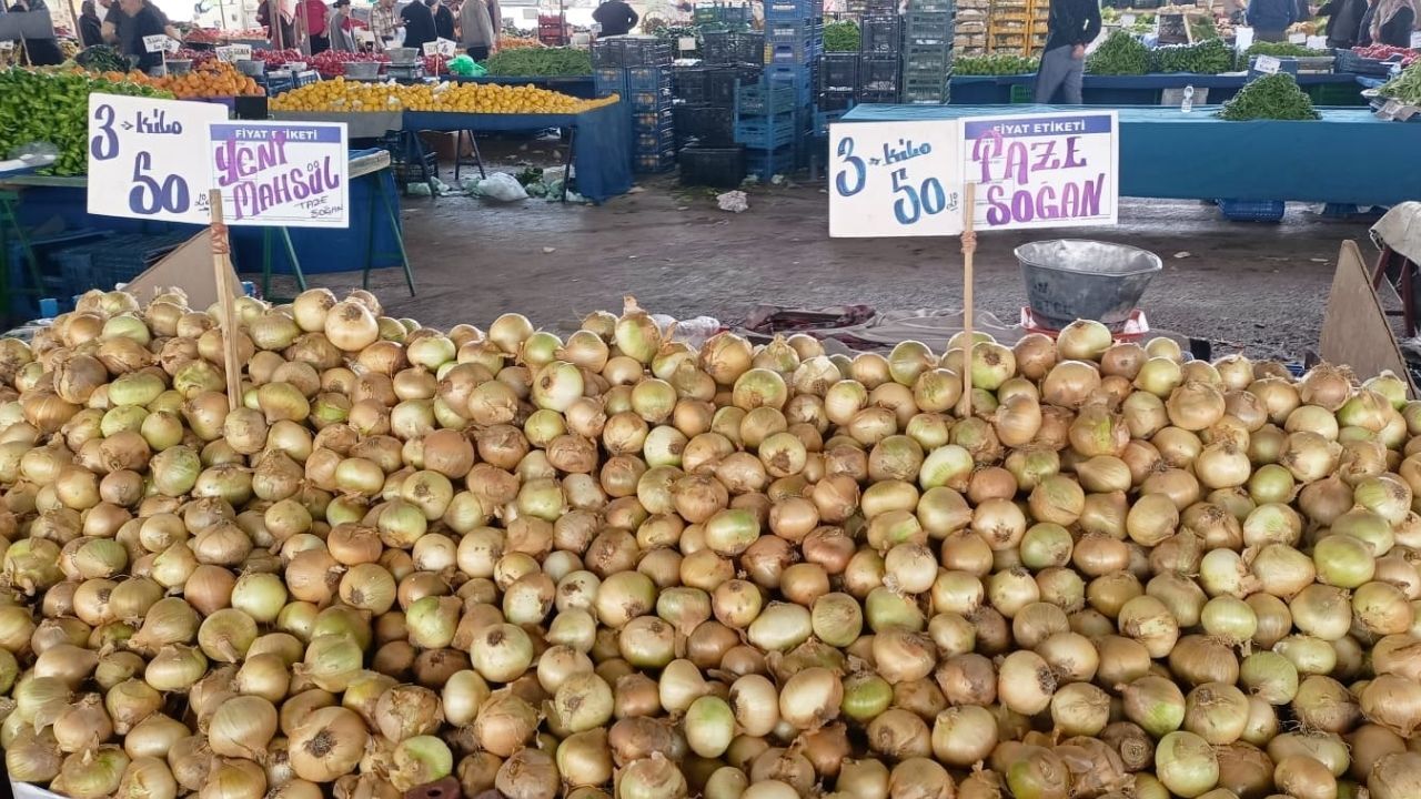 Pazar Soğan