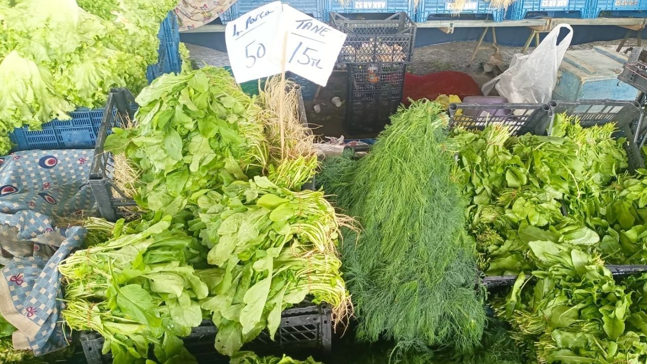 Pazar Yeşillik-1