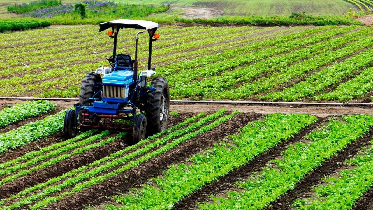 Tarım Ürünleri Üretici Fiyat Endeksi Verileri Açıklandı