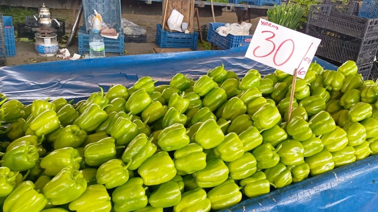 Dolma Biber-3
