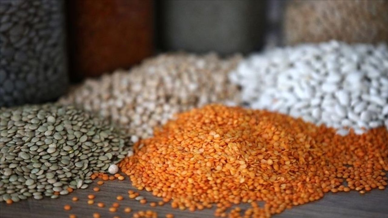 Türkiye'nin Hububat ve Gıda İhracatı 8,8 Milyar Doları Aştı