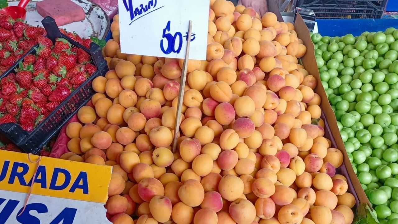 Kayısı (1)