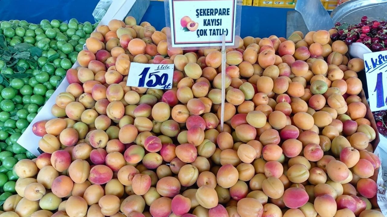 Kayısı