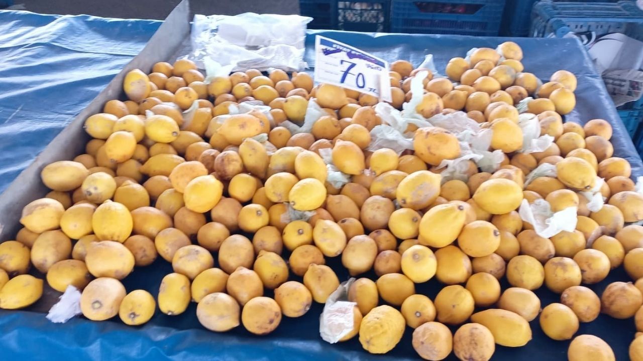 Limon-12