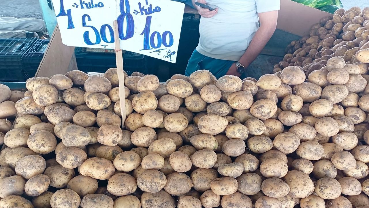 Patates (1)-1