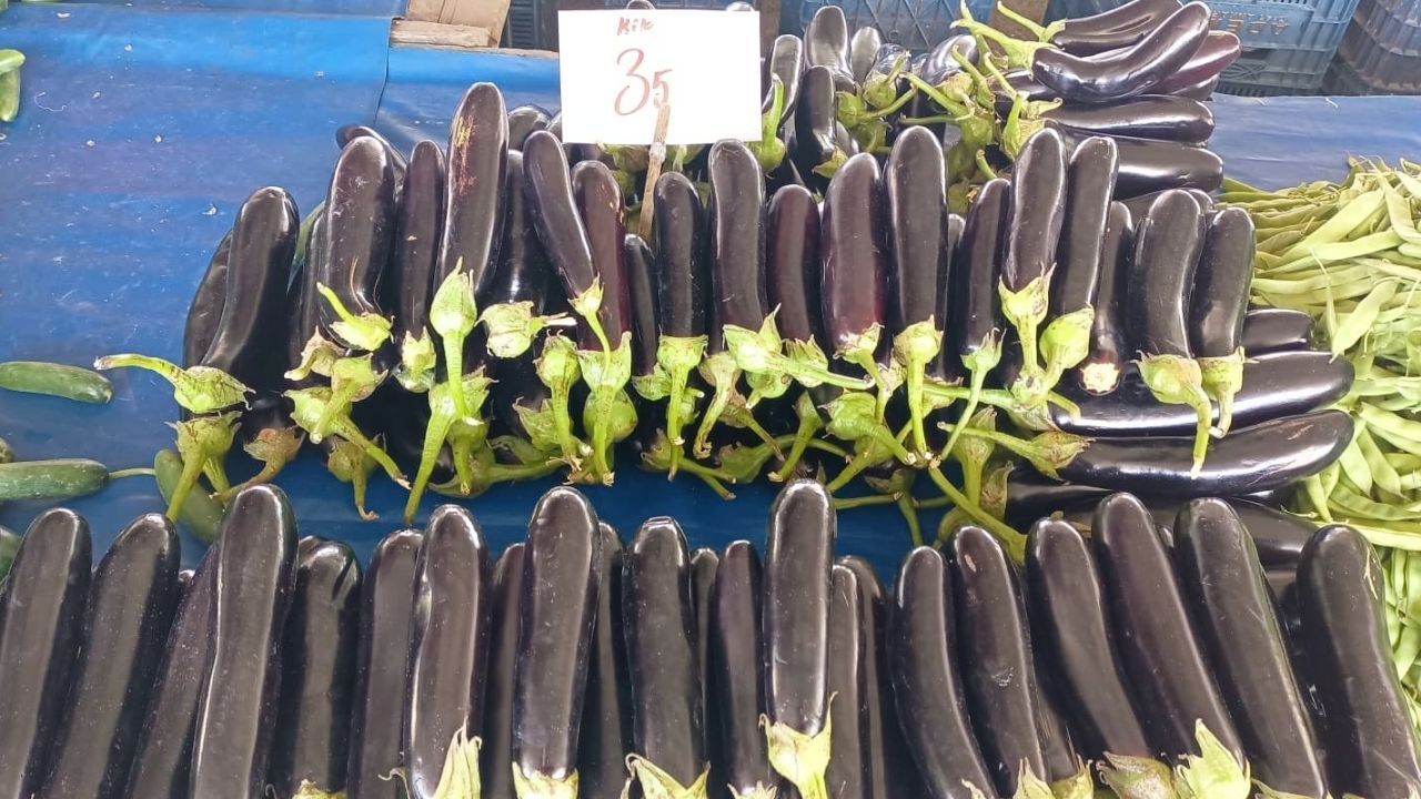 Patlıcan-1