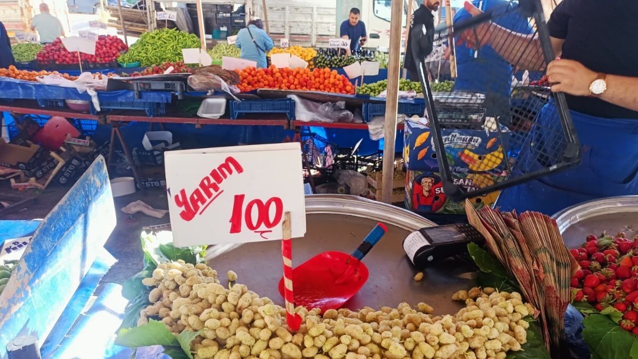 Pazar Fiyatları Dut