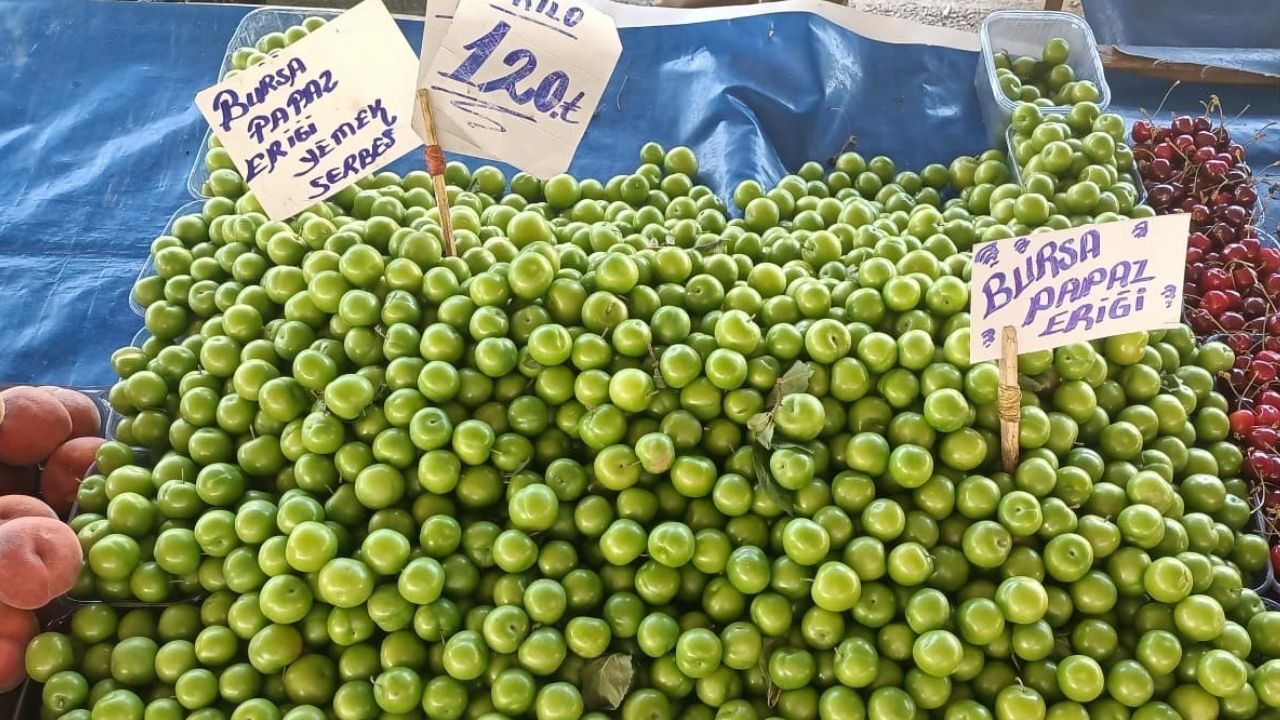 Pazar Fiyatları Erik