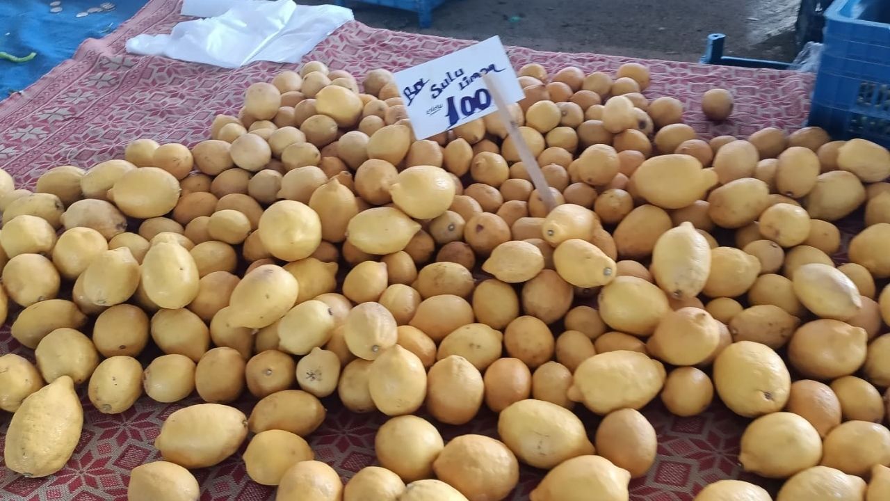 Pazar Fiyatları Limon