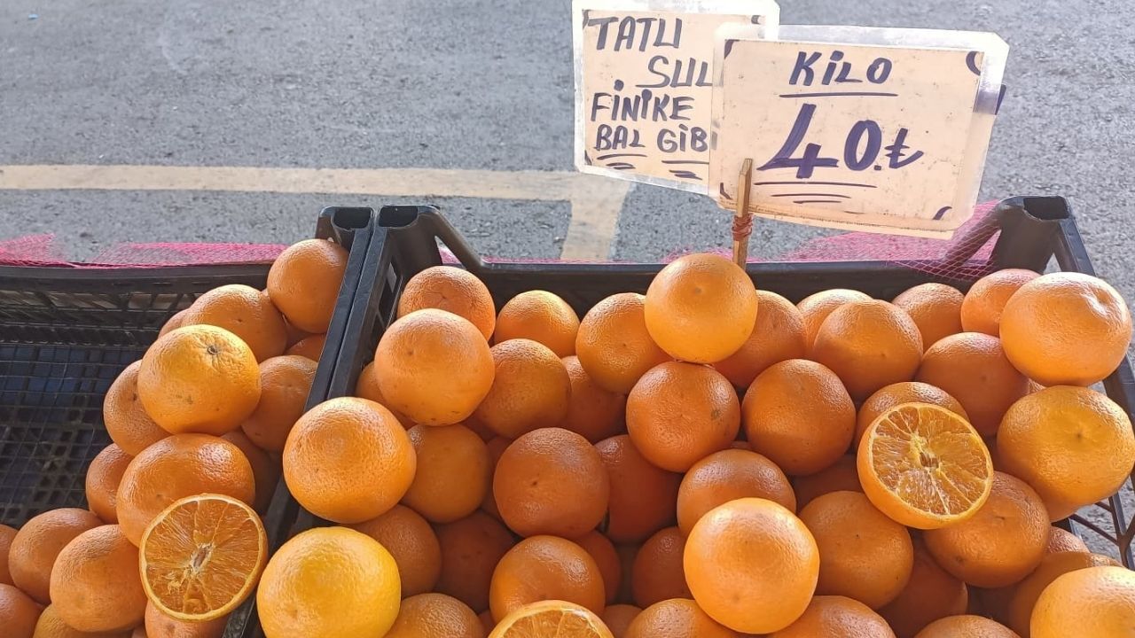 Pazar Fiyatları Portakal