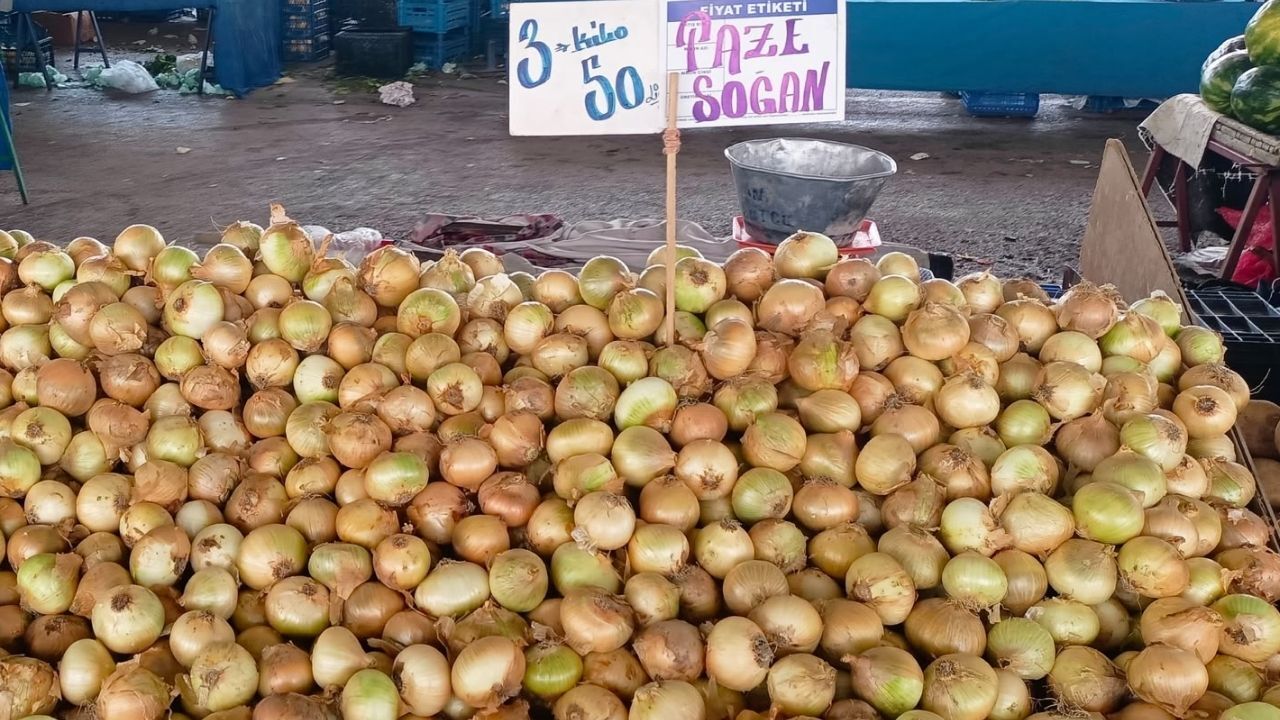 Soğan (1)-1