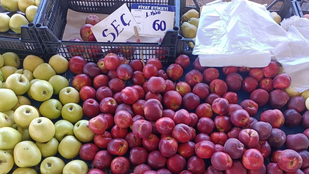 Elma Fiyatları 30 Haziran