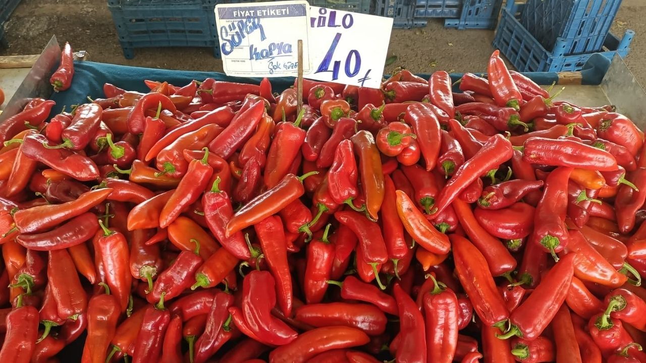 Kapya Fiyatları 30 Haziran