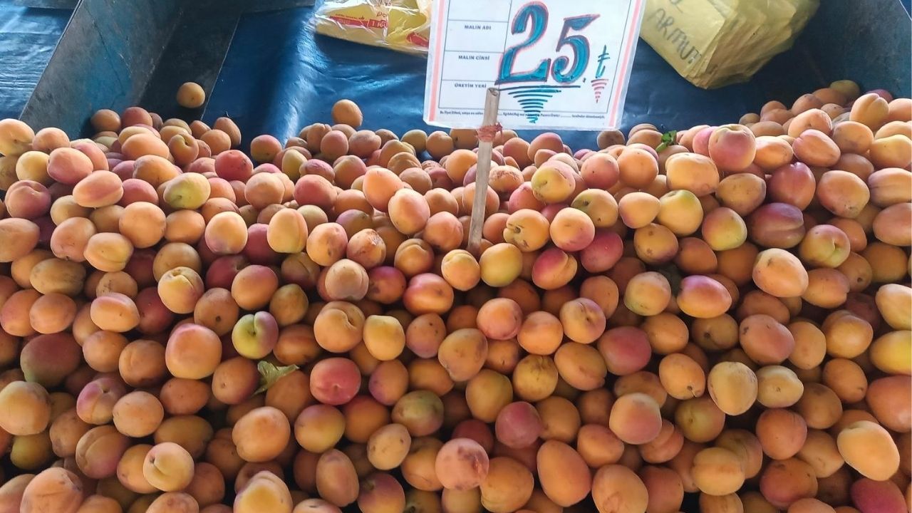 Kayısı (2)