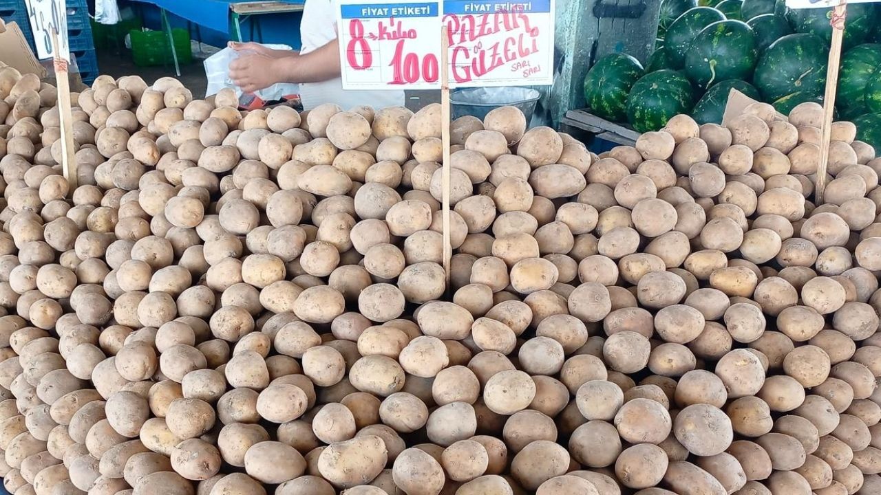 Patates (2)-1