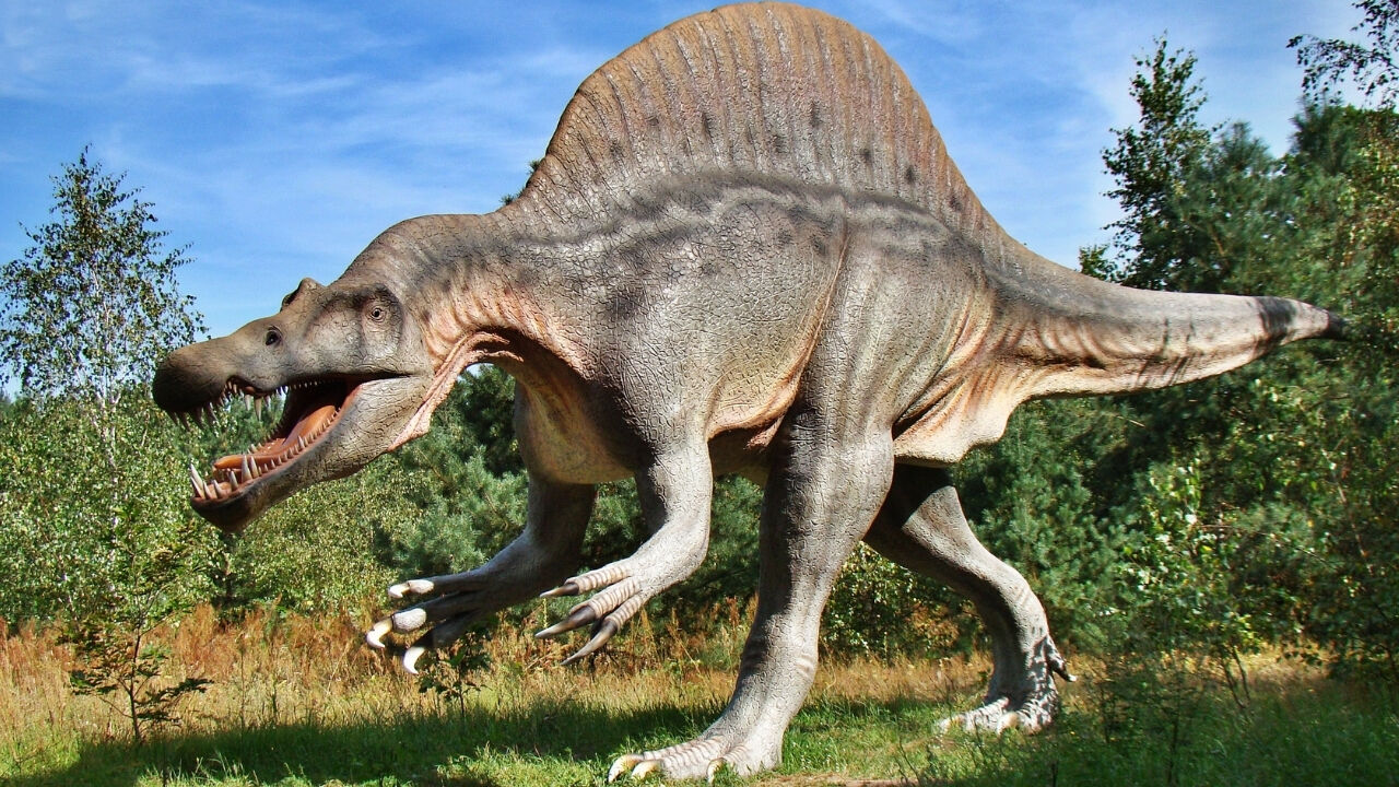 Spinosaurusların Yaşamına Işık Tutan Yeni Keşif
