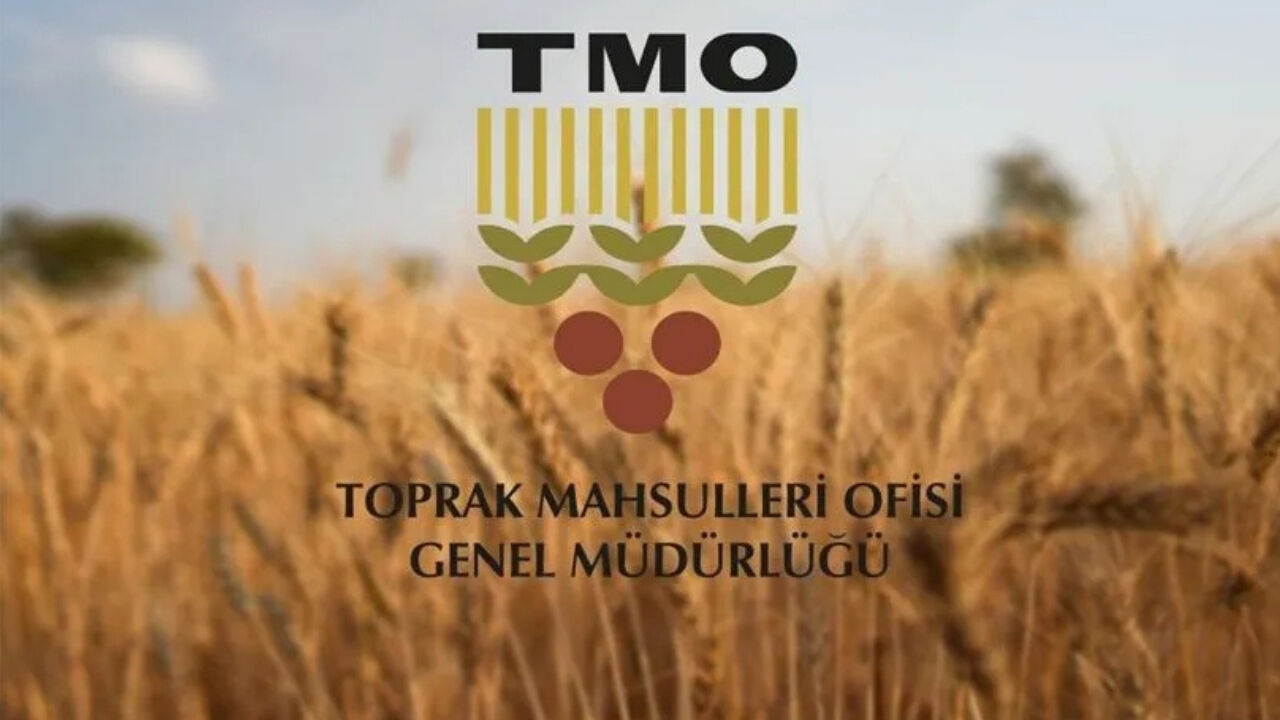 TMO Hububat Alımında Rekor Kırdı: 34 Milyar Lira Ödeme Yaptı