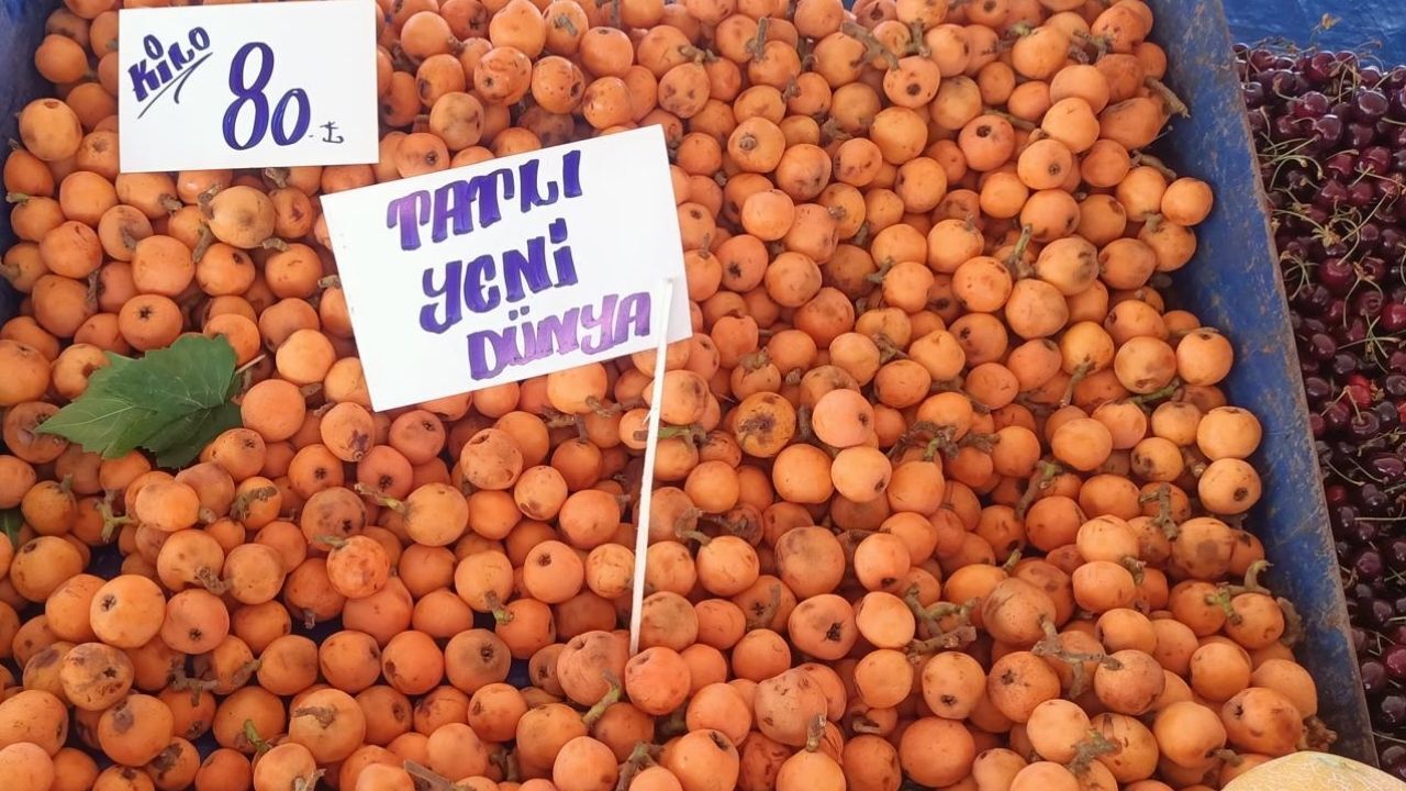 Yenidünya-1
