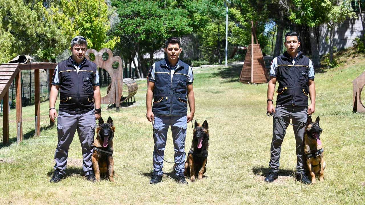 K9 3