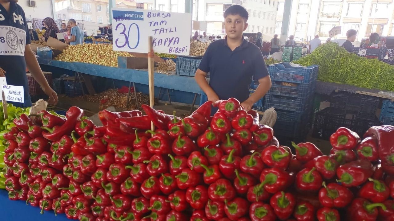 Kapya Fiyat