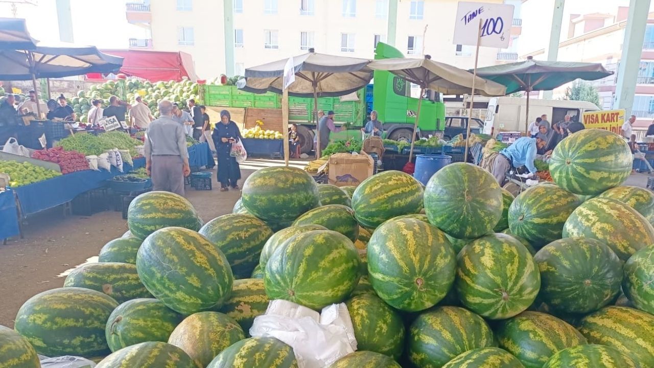 Karpuz Fiyat